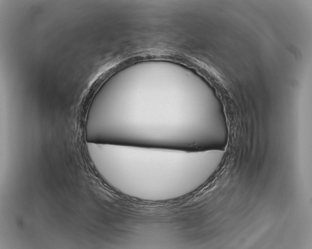 X0000115681160200911120941
