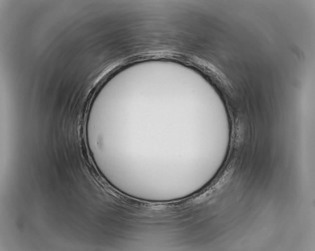 X0000115681162200911120941