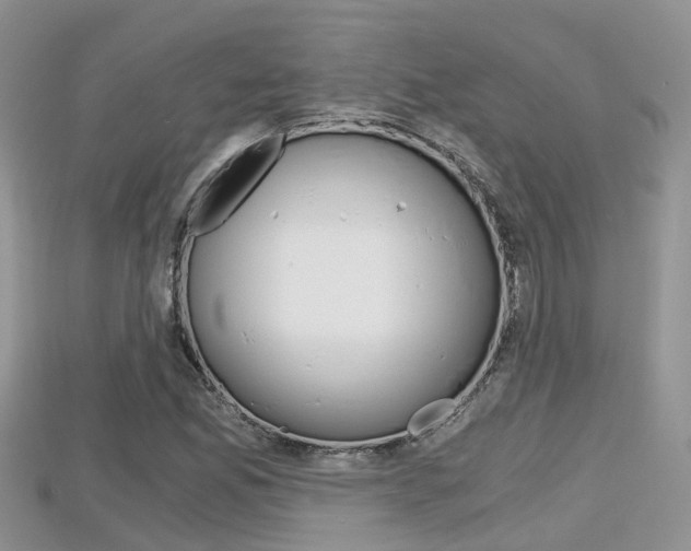 X0000115681165200911120941