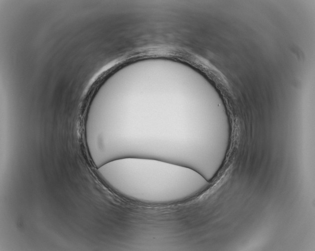 X0000115681166200911120941