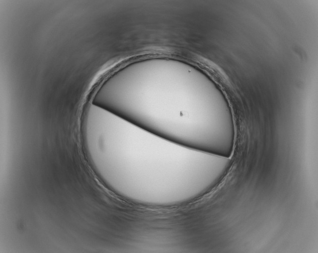 X0000115681168200911120941