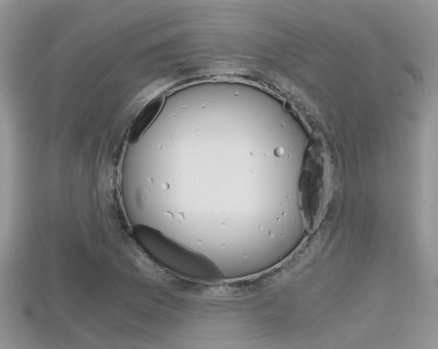 X0000115681169200911120941