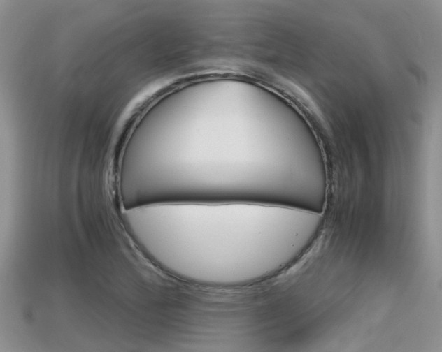X0000115681172200911120941