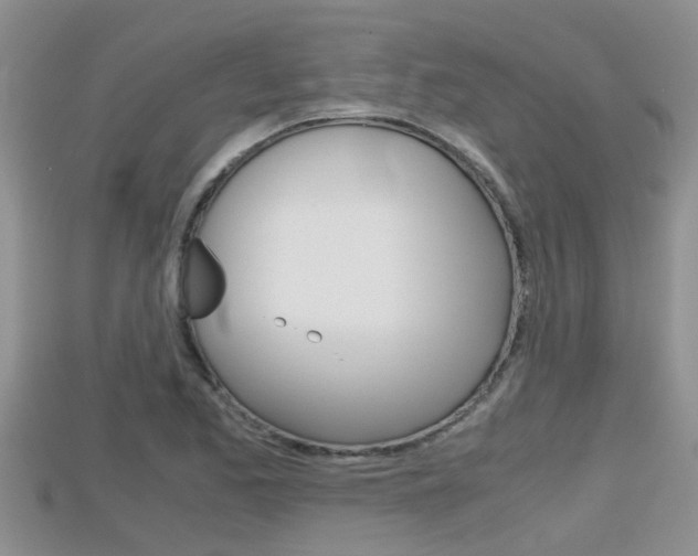 X0000115681173200911120941