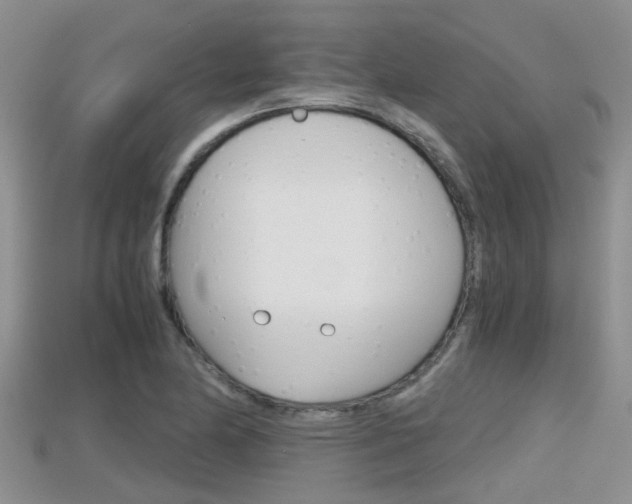 X0000115681174200911120941