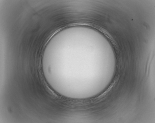X0000115681177200911120941