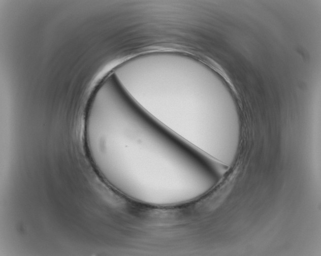 X0000115681179200911120941