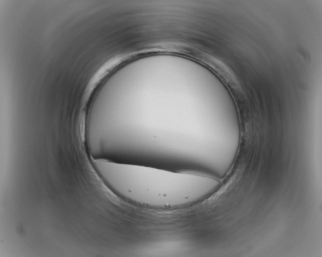 X0000115681180200911120941