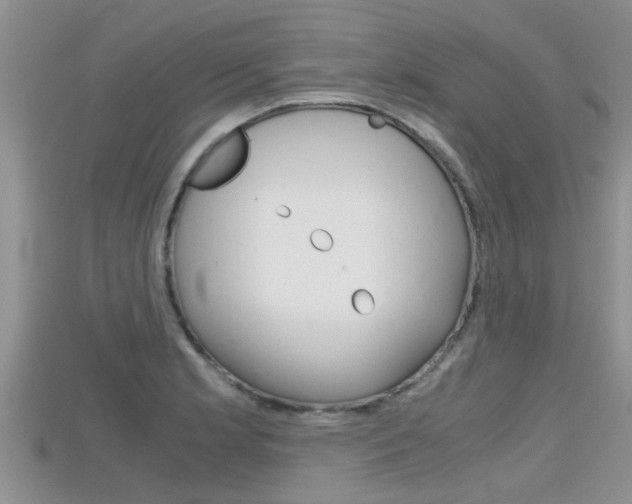 X0000115681181200911120941