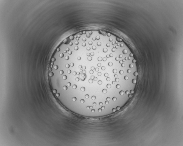 X0000115681186200911120941