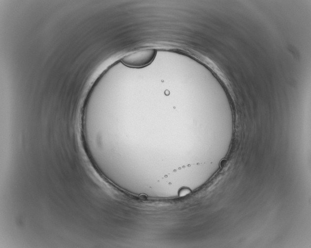 X0000115681187200911120941
