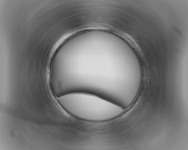 X0000115681188200911120941