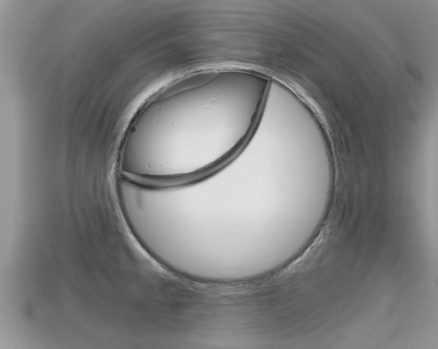 X0000115681189200911120941