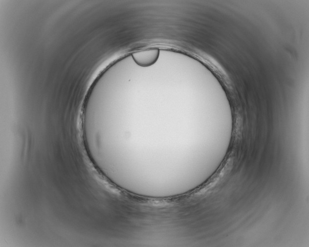 X0000115681190200911120941