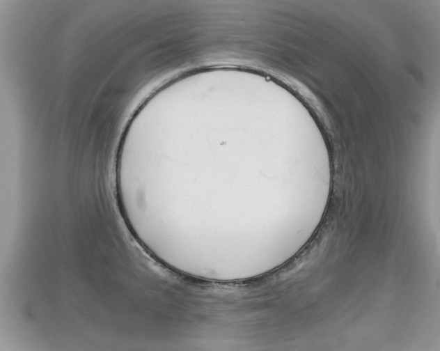 X0000115681191200911120941