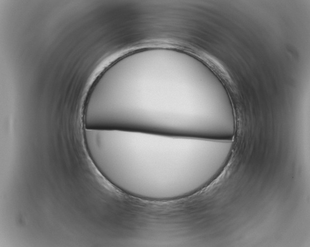X0000115681192200911120941