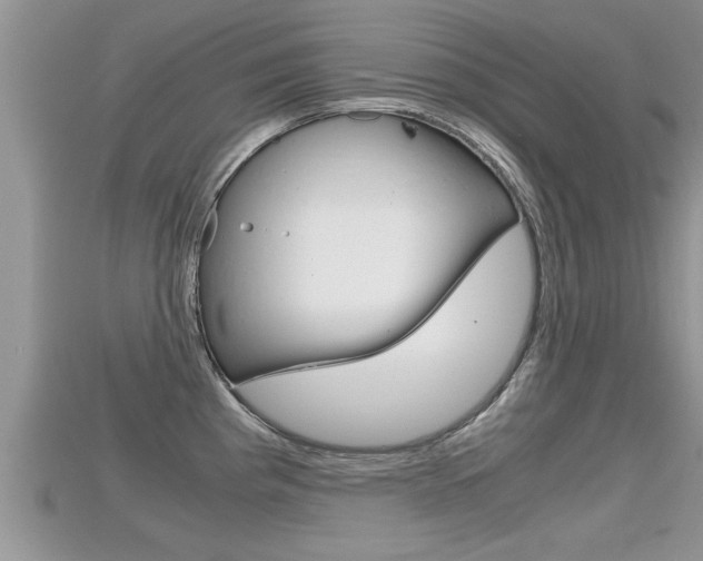 X0000115681193200911120941