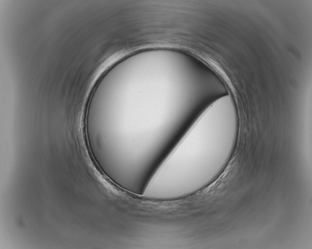 X0000115681197200911120940