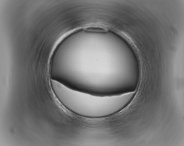 X0000115681200200911120940