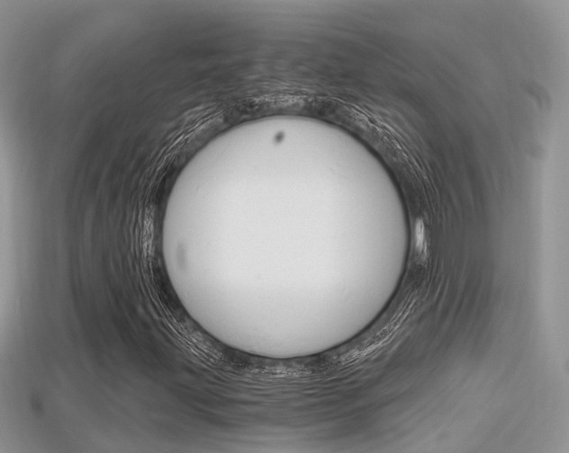 X0000115681203200911120940