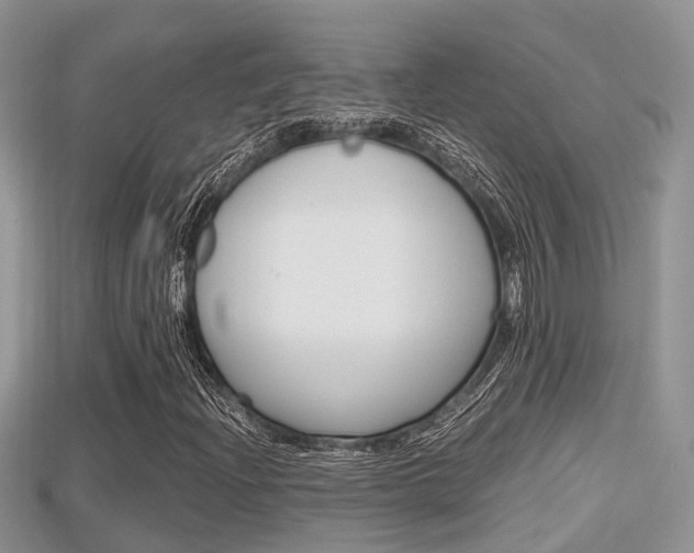 X0000115681204200911120940