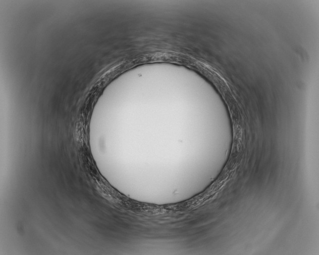 X0000115681207200911120940