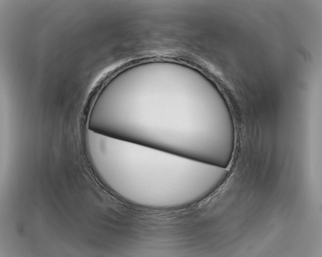 X0000115681214200911120940