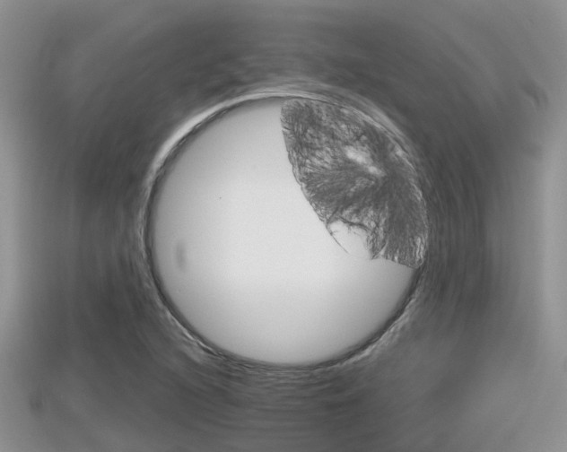 X0000115681216200911120940