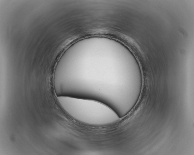 X0000115681217200911120940