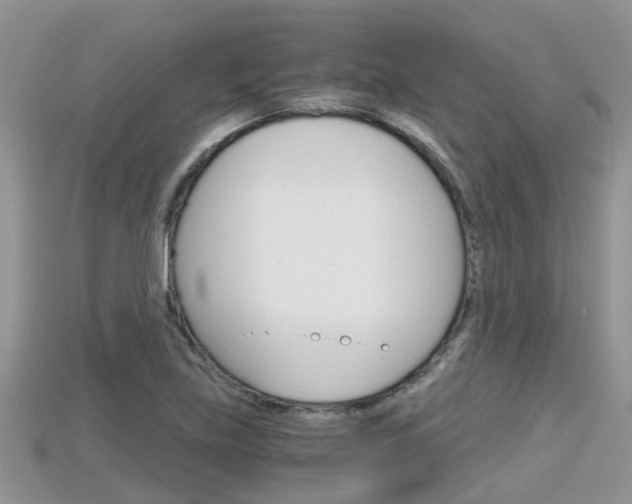 X0000115681219200911120940