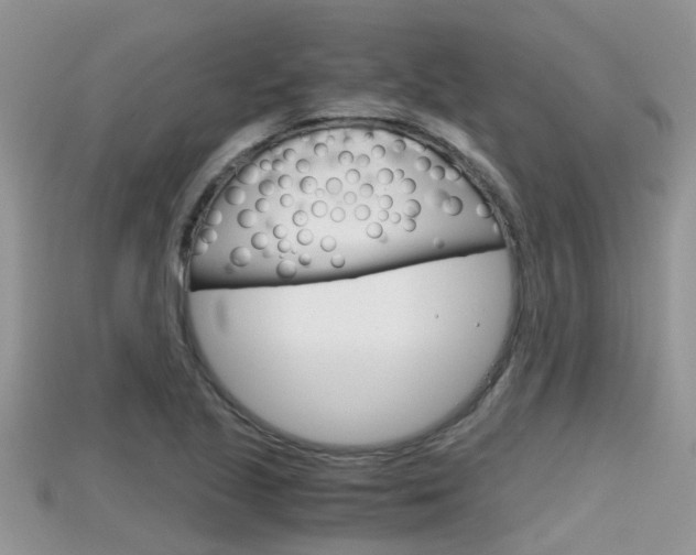 X0000115681221200911120940