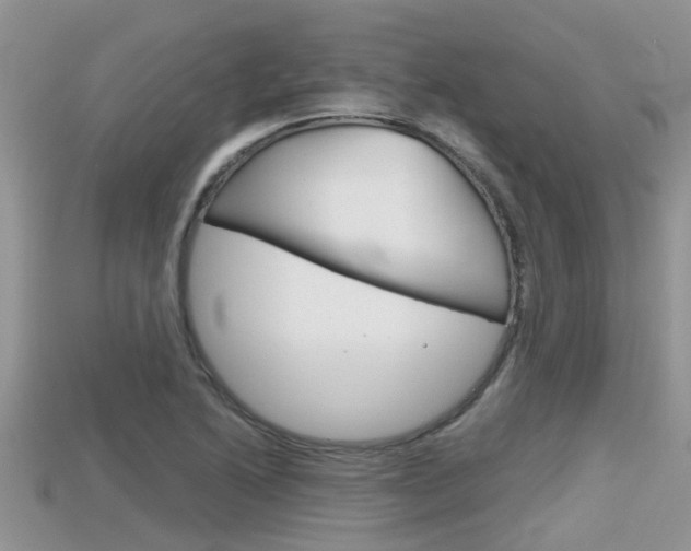 X0000115681222200911120940