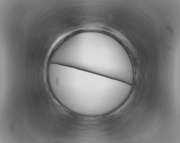 X0000115681224200911120940