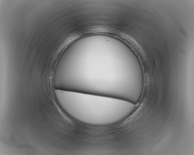 X0000115681225200911120940