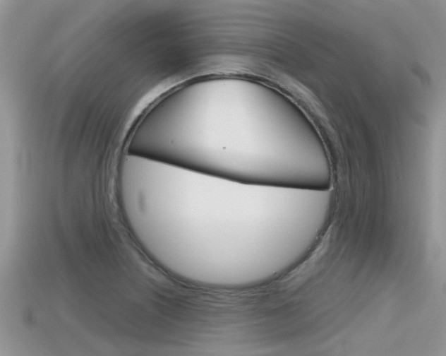 X0000115681226200911120940