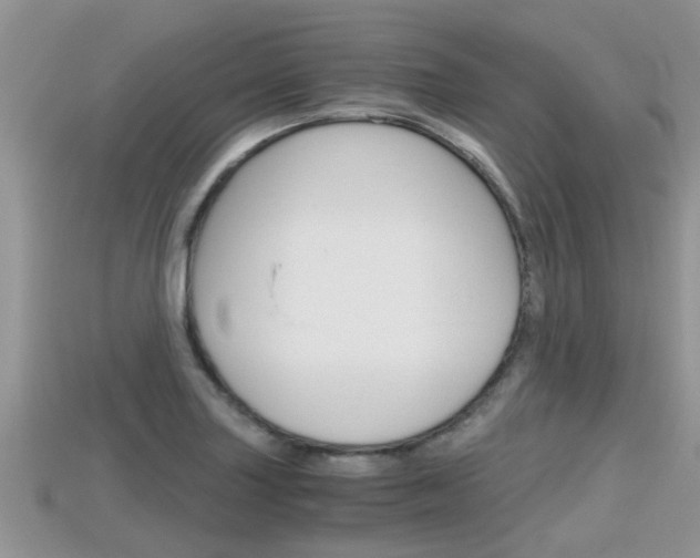 X0000115681227200911120940