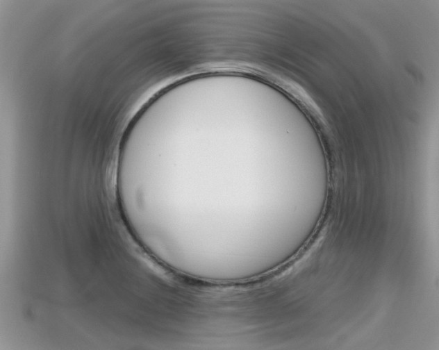X0000115681228200911120940