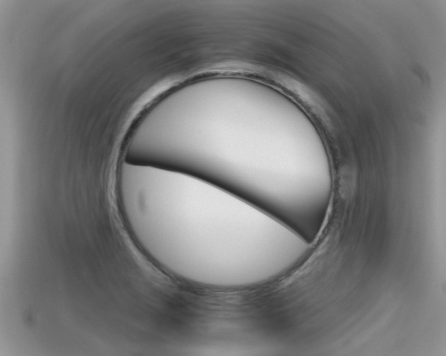 X0000115681229200911120940