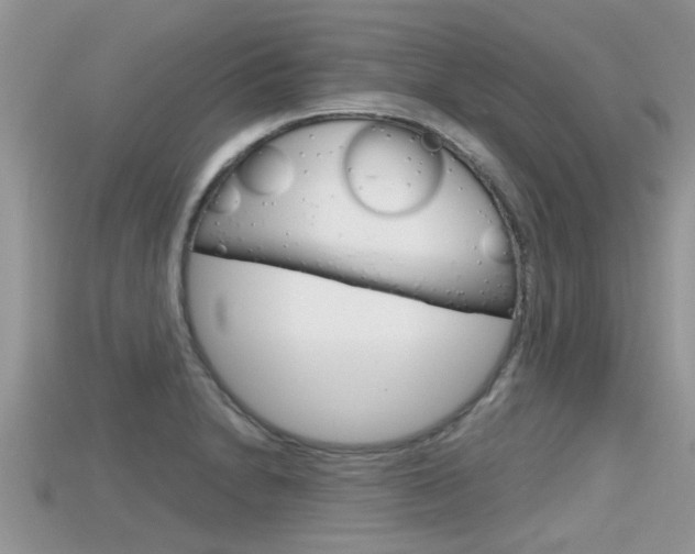 X0000115681230200911120940