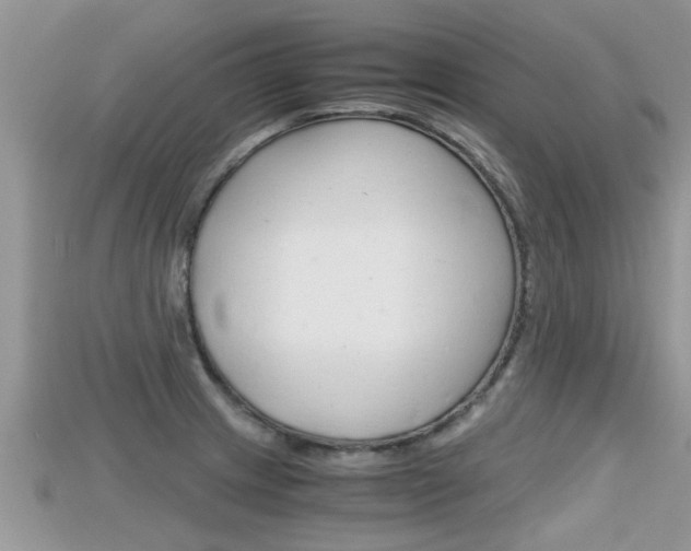 X0000115681233200911120940