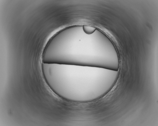 X0000115681238200911120940