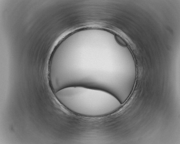 X0000115681240200911120940