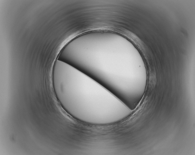 X0000115681242200911120940