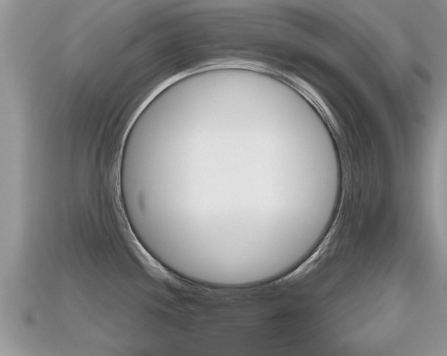 X0000115681244200911120940