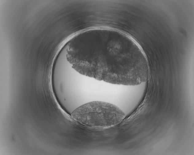 X0000115681245200911120940