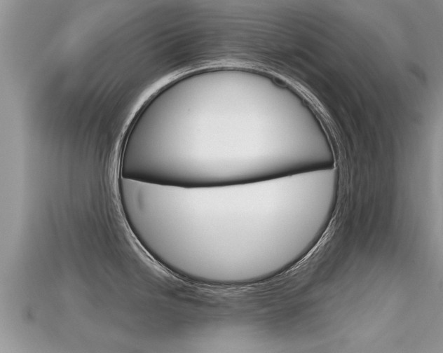 X0000115681246200911120940