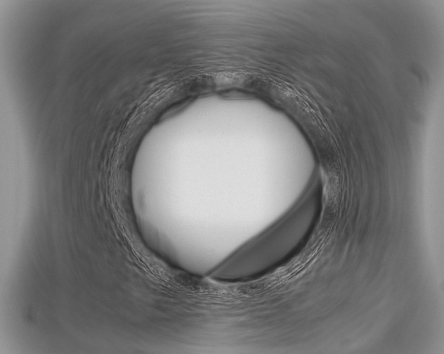 X0000115681249200911120940