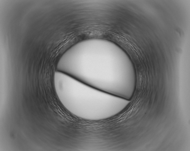 X0000115681250200911120940