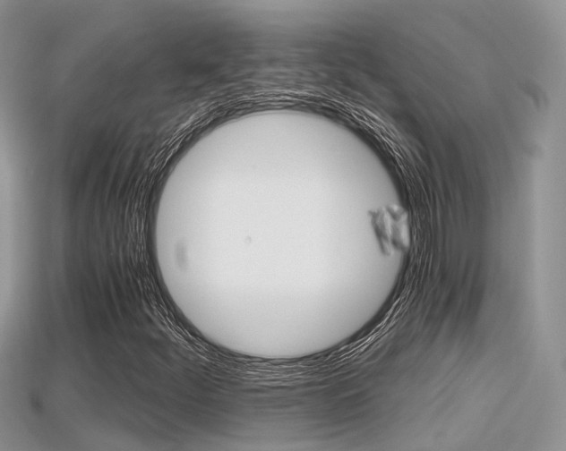 X0000115681252200911120940