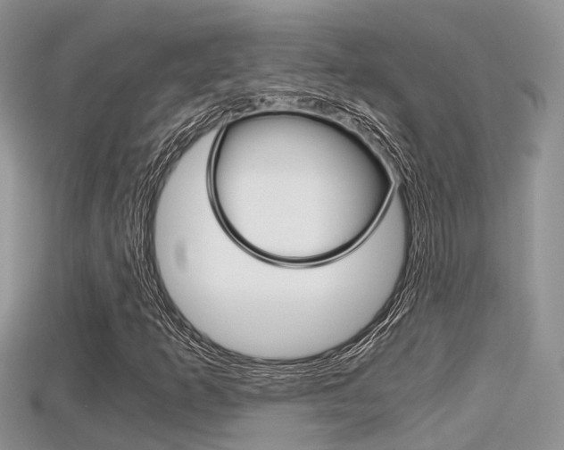 X0000115681253200911120940